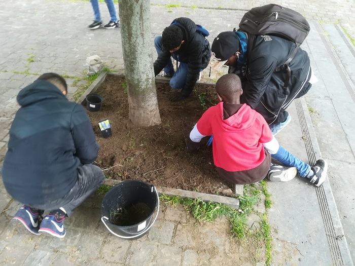 Action du FJM (Foyer des Jeunes des Marolles) - végétalisation de trois pieds d'arbres Place Brueghel