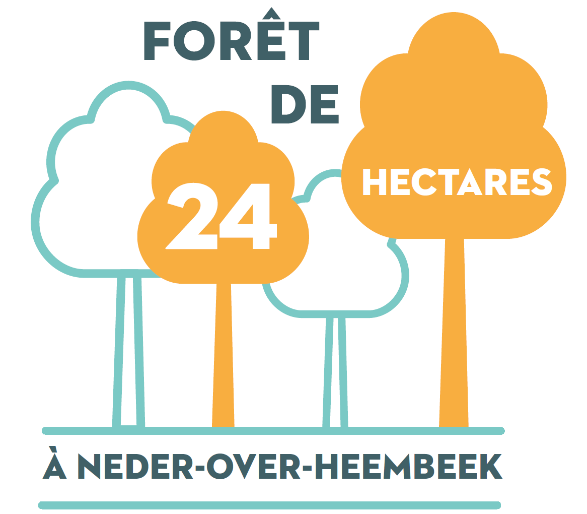 Forêt de 24 hectares à Neder-Over-Heembeek