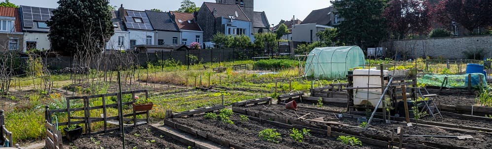 Plan Climat - Alimentation et agriculture urbaine