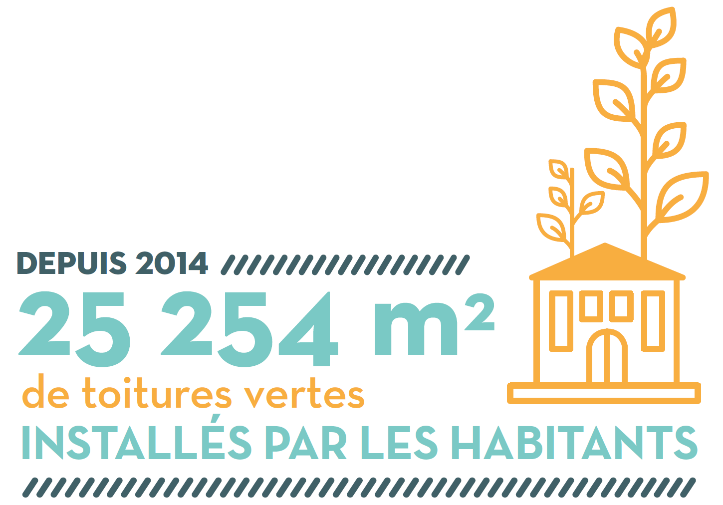 Depuis 2014, 25.254 m2 de toitures vertes installés par les habitants