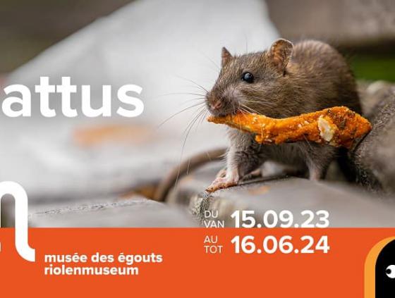 Exposition. Rattus