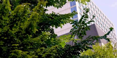 Vidéo "Comment la Ville de Bruxelles s'adapte aux fortes chaleurs ?"