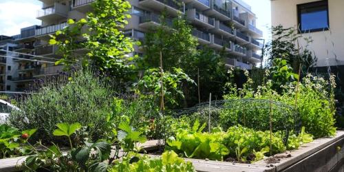 Appel à projets Plan Climat 2026