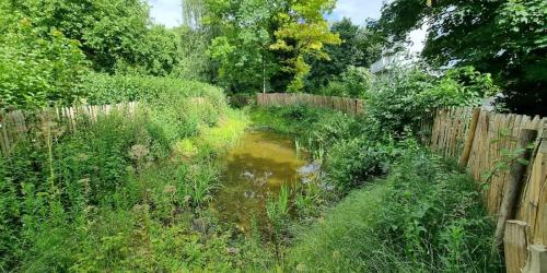 Prime pour des projets eau et biodiversité