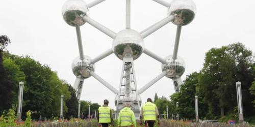 Le métier de jardinier en vidéo