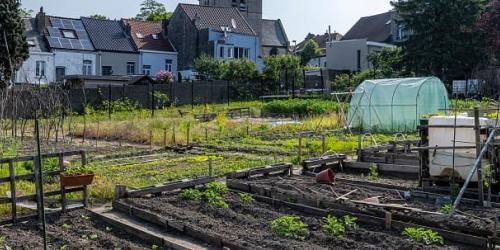 Plan Climat - Alimentation et agriculture urbaine