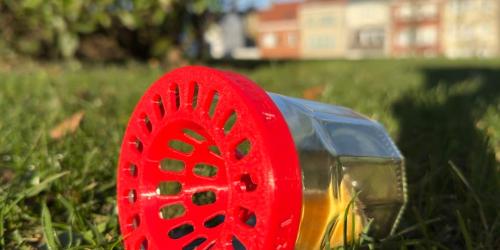 Lancez-vous dans le piégeage de printemps 2026 du frelon asiatique !