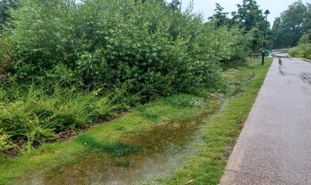 Gestion des eaux de pluie à Bruxelles