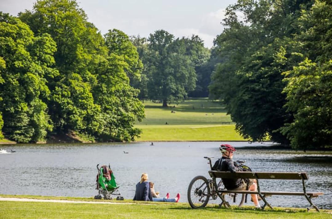 Circulation dans le Bois de la Cambre