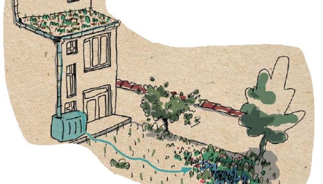 Prime pour des projets eau et biodiversité 