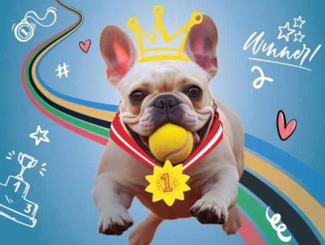 Dogolympics : le grand rendez-vous sportif des chiens à Bruxelles !