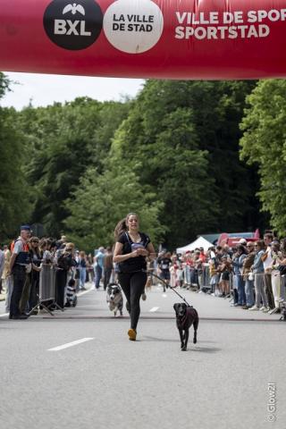 Dogolympics 2026