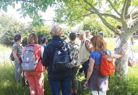 Balade à la ferme urbaine 'Le début des haricots'
