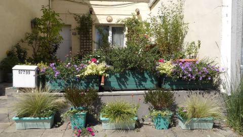 Lauréats Fleurir Bruxelles 2025 - Jardinet - 1. Mertens Sylviane